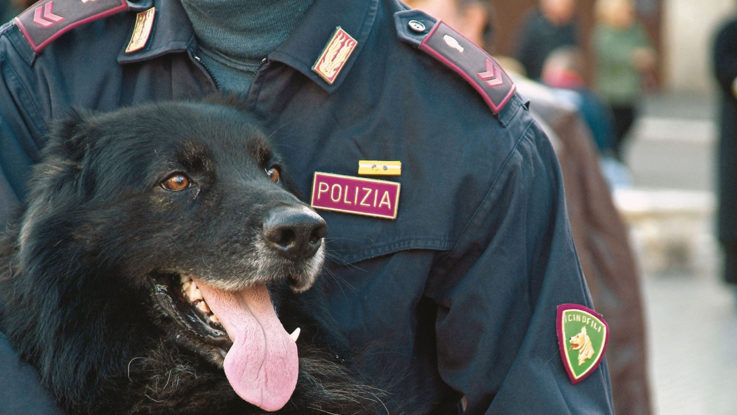 Roma, massiccio blitz antidroga al Pigneto: controlli a tappeto