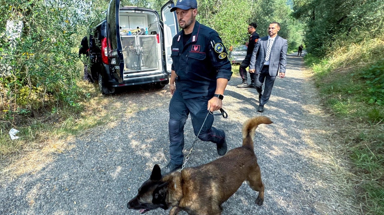 Si scava nel giardino del killer di Denisa alla ricerca di altre vittime