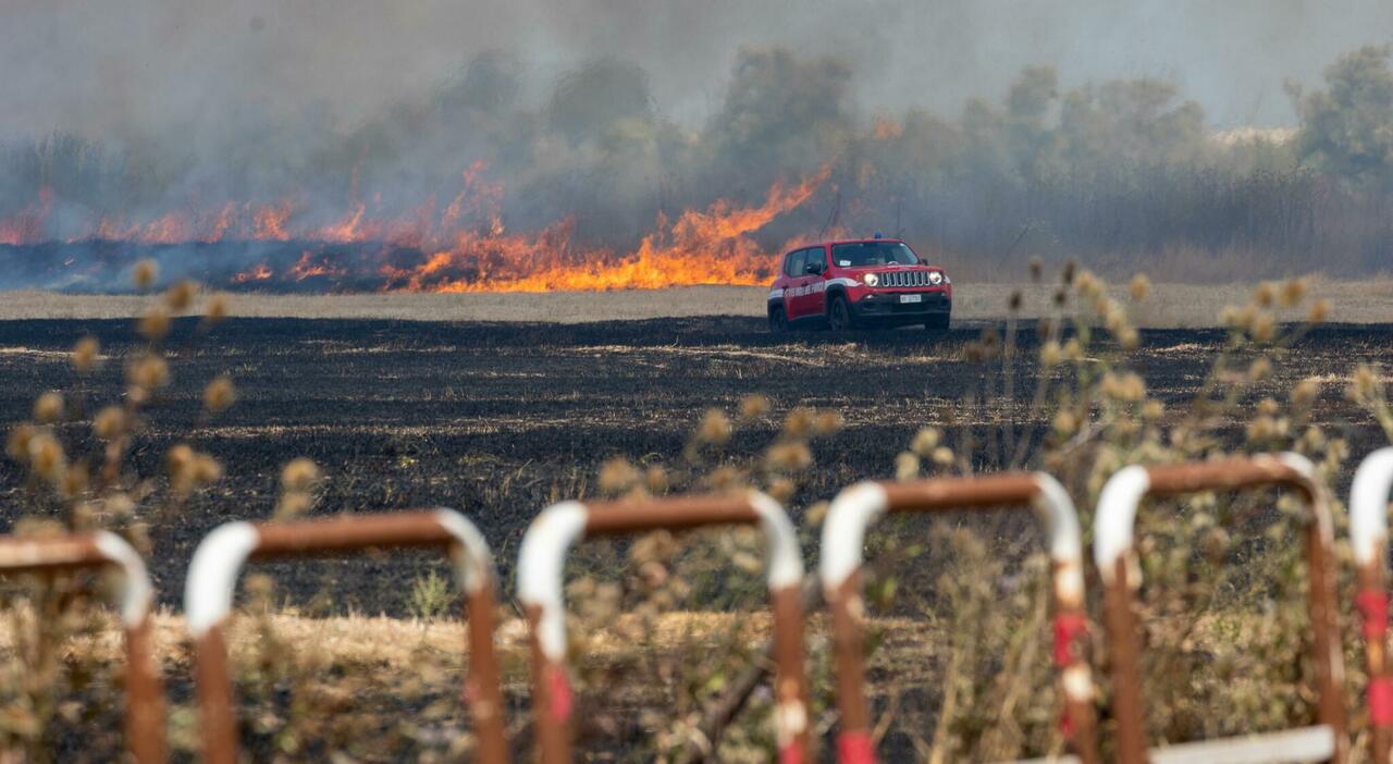 Roma: emergenza incendi, nuovo rogo doloso a Fiumicino