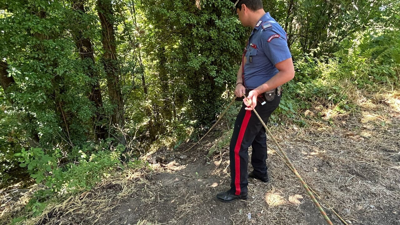 Giallo a Rocca di Papa: uomo impiccato nel bosco accanto ad ossa umane