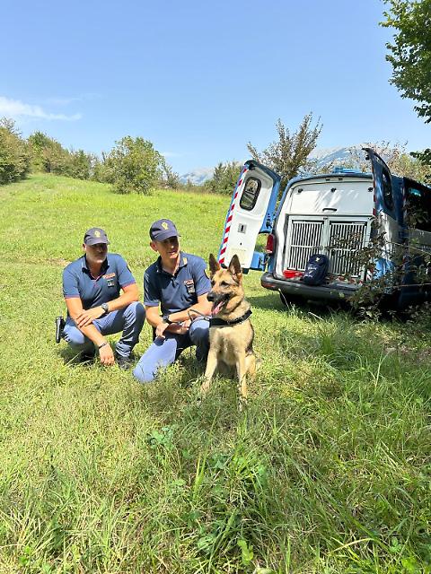 Frosinone, horror nei boschi: trovato un cadavere a pezzi tra gli alberi