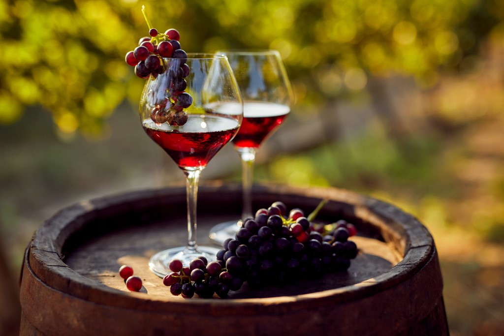 Guerra dei dazi USA, Italia e Francia in pressing per salvare vino e bollicine