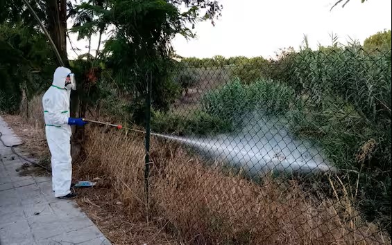 Allarme West Nile, casi triplicati in 7 giorni. Focolaio in provincia di Latina