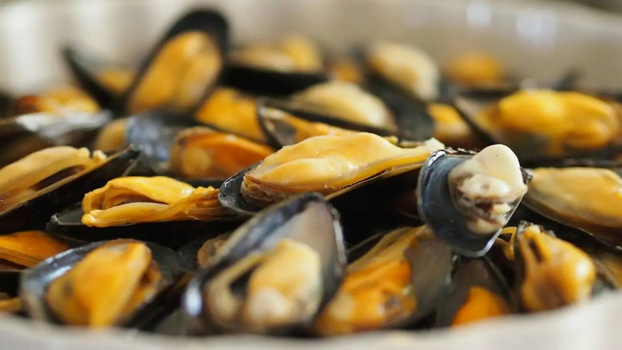 Epatite A a Roma e nel Lazio: scatta l’allerta per i frutti di mare contaminati