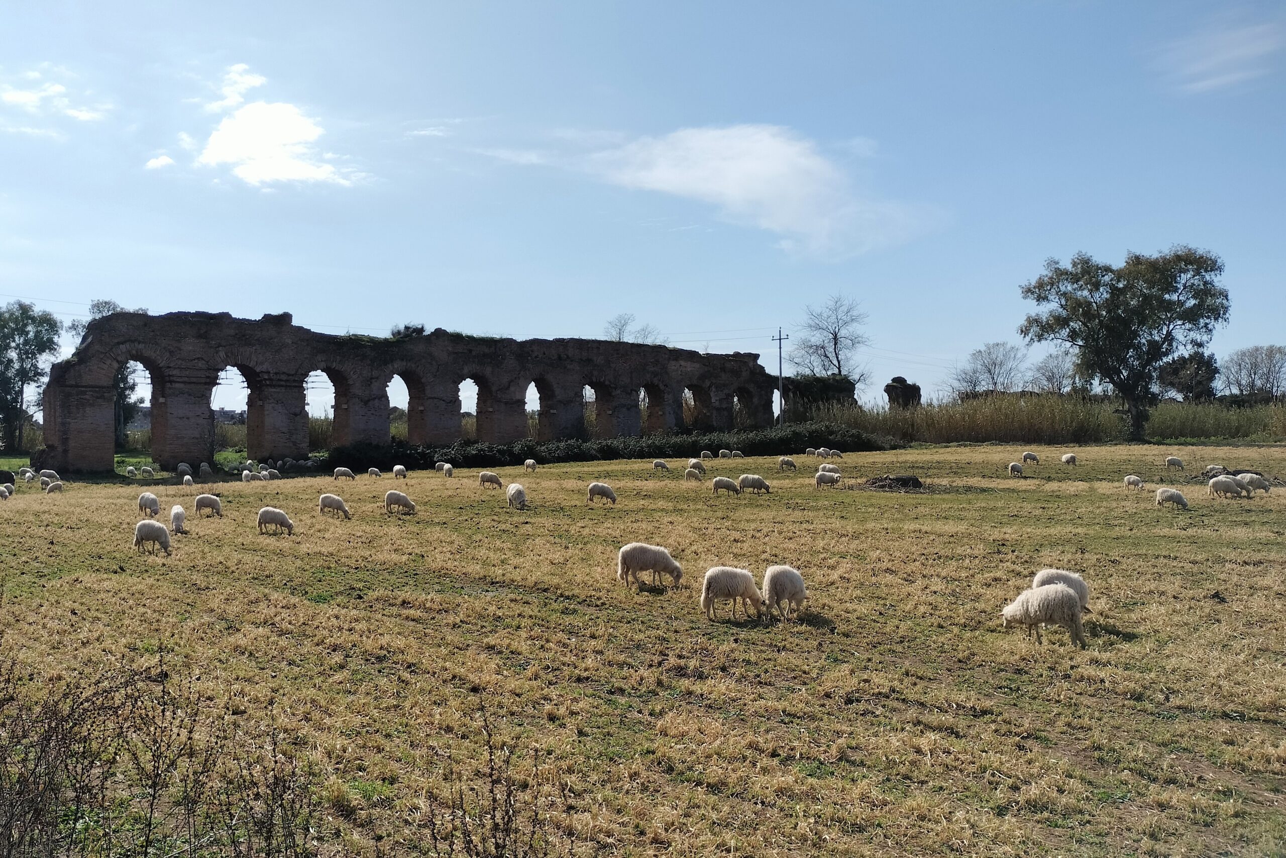 Il nuovo Parco Alessandrino Mistica: un polmone verde contro il caldo urbano