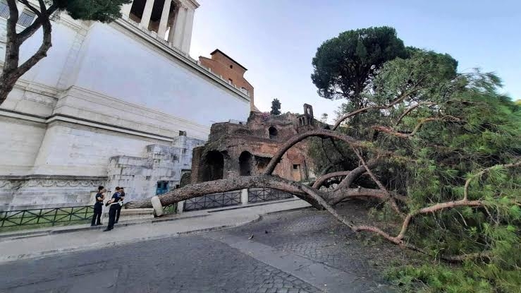 Temporali a Roma con forti raffiche di vento: molti alberi caduti