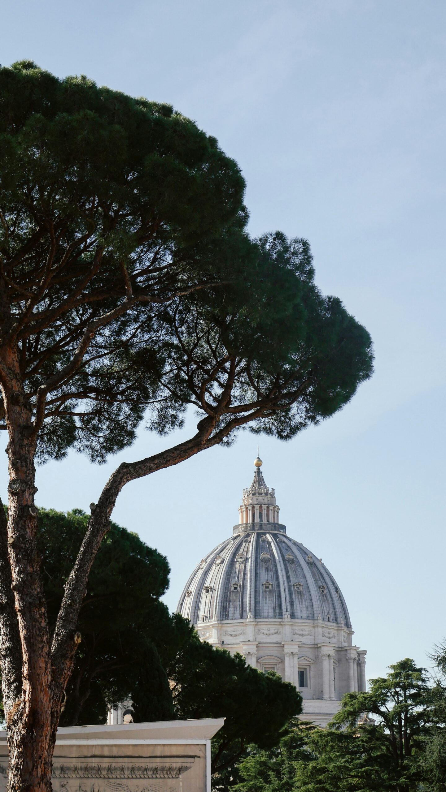 DOSSIER / Verde Pubblico, Roma cambia marcia: un agronomo alla guida del Dipartimento.